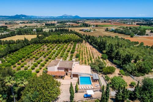 Finca Son Morey