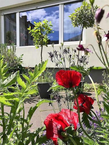 Apartamento Stadtoase Koblenz