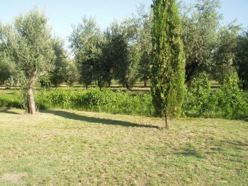 Country House Oasi Degli Ulivi