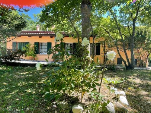 Casina Morgana B&B