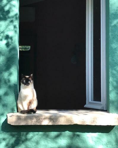 Casina Morgana B&B