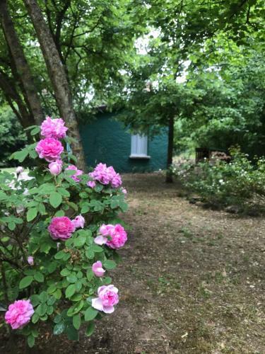 Casina Morgana B&B