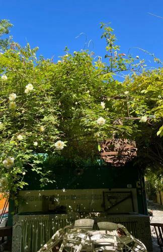 Casina Morgana B&B