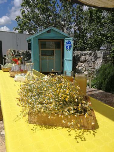 Agroturismo Masseria La Gatta Matta