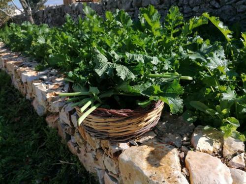 Agroturismo Masseria La Gatta Matta