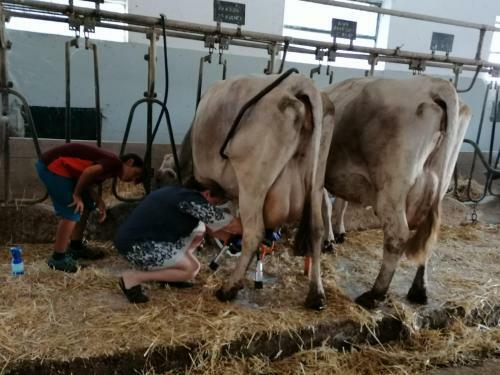 Agroturismo Masseria La Gatta Matta