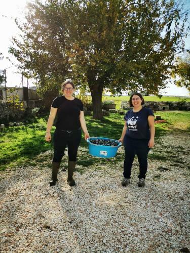 Agroturismo Masseria La Gatta Matta