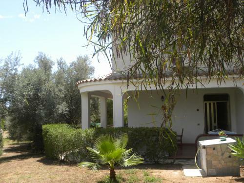 Villa Delle Palme