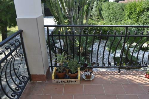 Villa Delle Palme