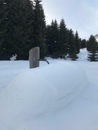 Chalet Apartment Gran Zebr�