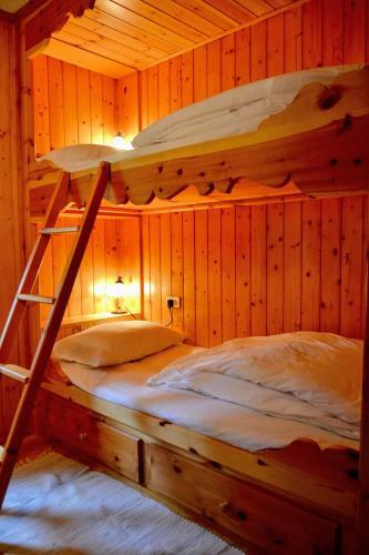 Chalet Apartment Gran Zebr�
