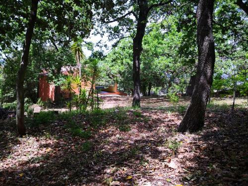 Villa Mancosu