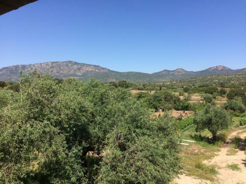 Villa Su Tantu