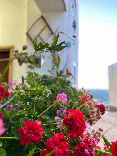 Hostal Canduleri