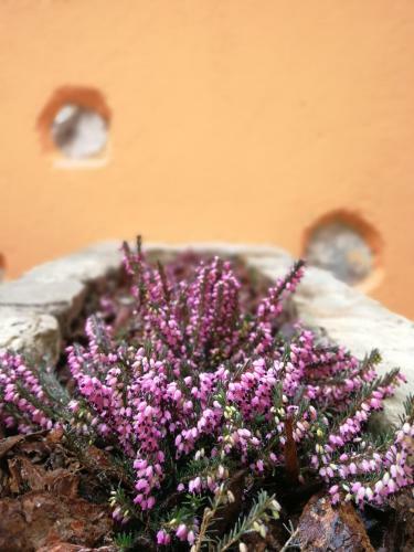 Apartamento La Corte Dell'angelo
