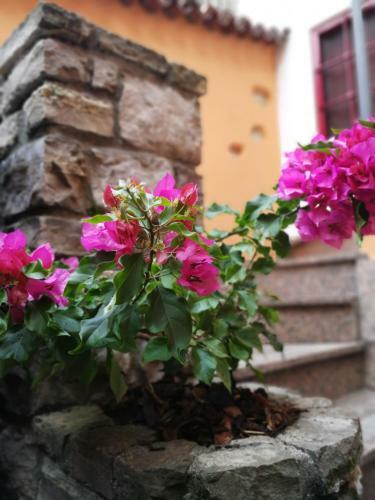 Apartamento La Corte Dell'angelo