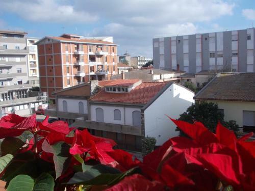 Bed & Breakfast Domus Aurea