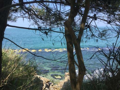 Apartamento Il Ponticello