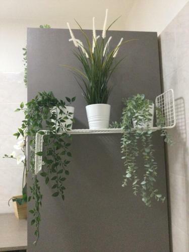 Apartamento Il Ponticello