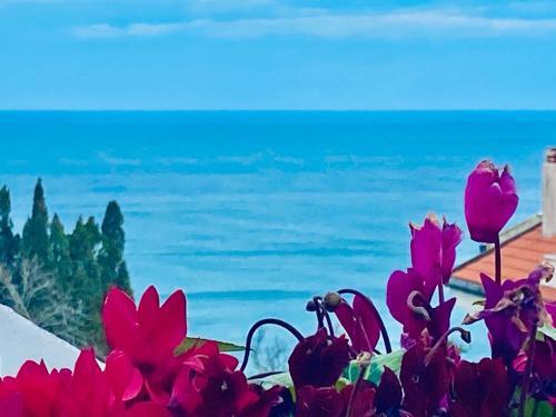 Apartamento Casazzurra