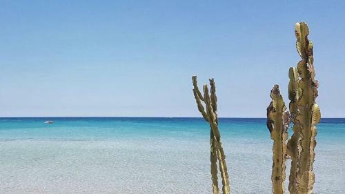 Apartamento Aurispa 143 Con Piscina Noto Centro