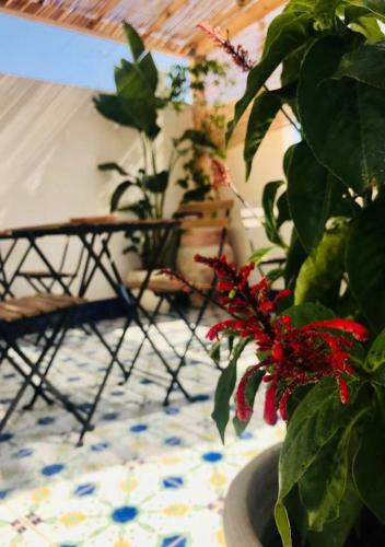 Bed & Breakfast Incanto Siciliano