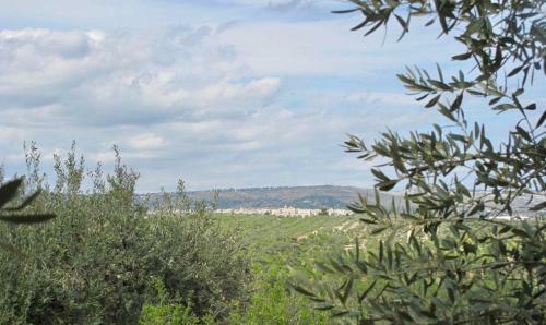 Villa Fico D'india - The Prickly Pear House