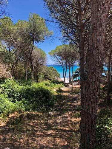 Apartamento Mare Blu