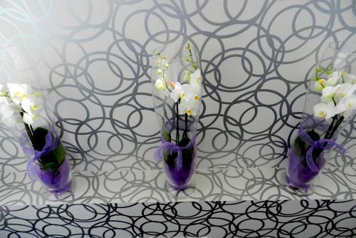 Hotel Vinotel 7 Uvas