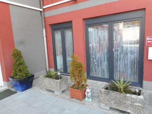 Hostal Pension Alis