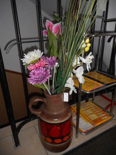 Hostal Pension Alis