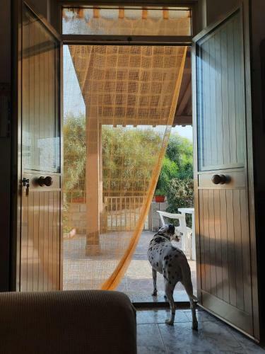 Casa Vacanze Le Dune