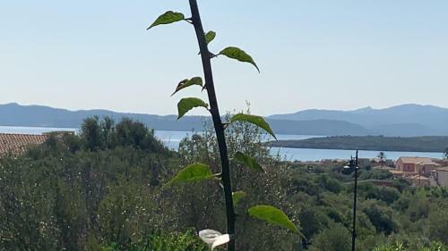 Casa Adelaide, Oasi Di Pace Con Vista Mare