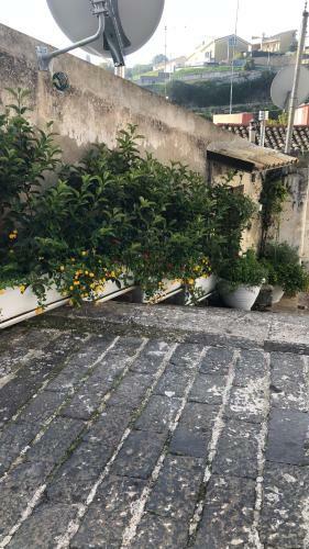 A Casa Da Anita