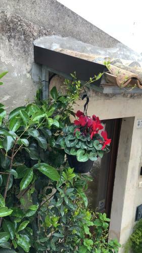 A Casa Da Anita