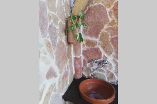 Palo Del Colle Ierva Chiain, Guest House