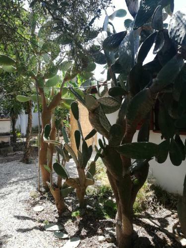 Apartamento Verde & Mare