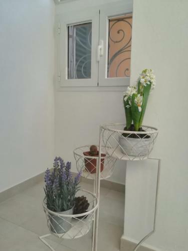 Apartamento Casa Mela