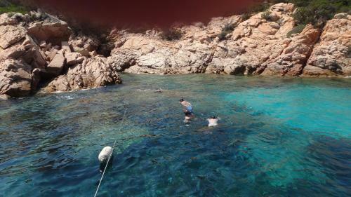 Grazioso Monolocale