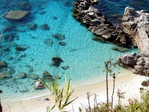 Bed & Breakfast A Due Passi Da Tropea Le Camere Di Libero E Roby