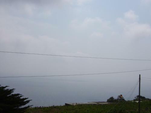 Dammusi