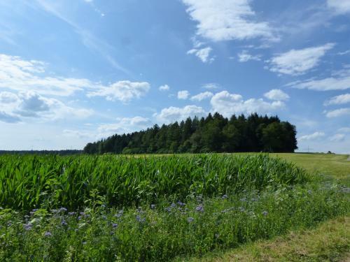 Posada Landgasthaus Sonne