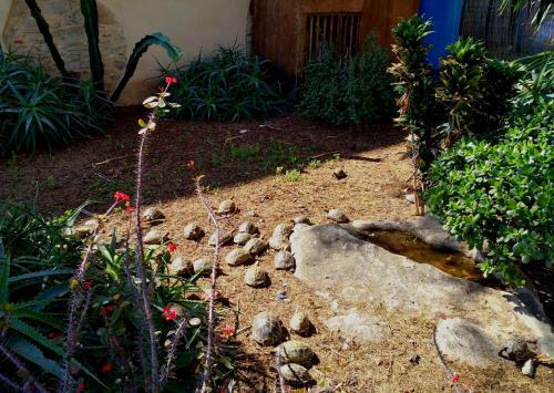 Apartamento Villa Chelia