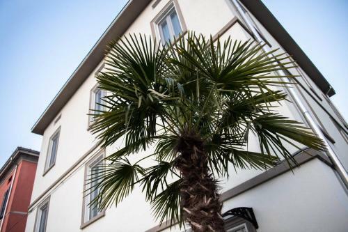 Hostal Le Palme