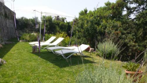Bed & Breakfast Biancadamare