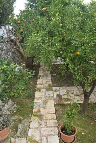 Apartamento Dimora Le Zagare