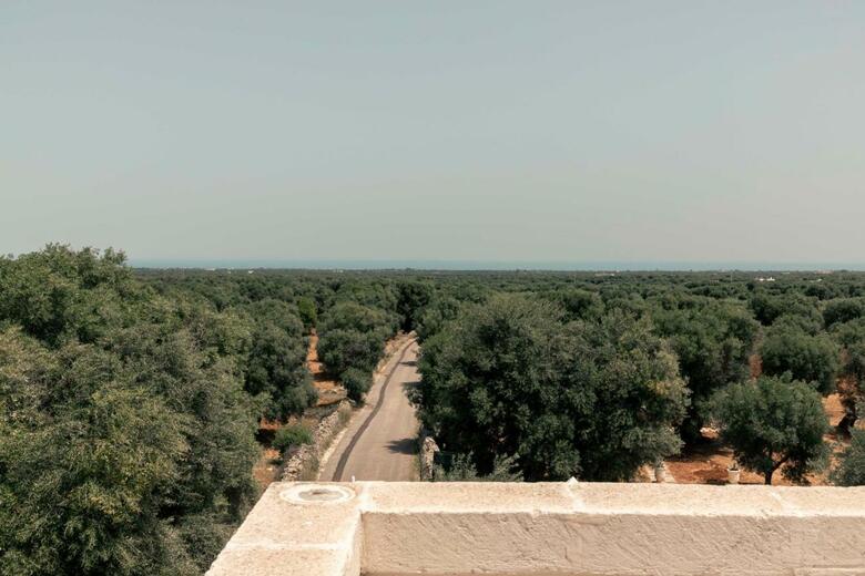 Bed & Breakfast Masseria Artemisia Vista Mare Ostuni
