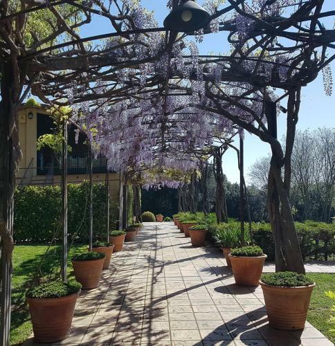 Bed & Breakfast Mas Roure Vell