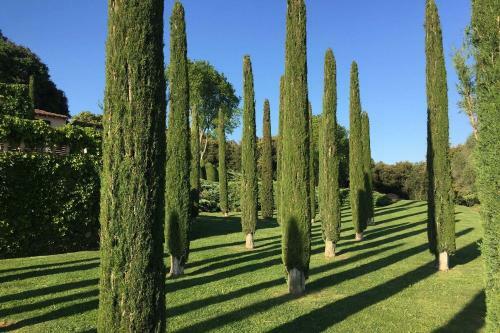 Bed & Breakfast Mas Roure Vell