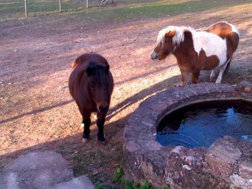 Le Hameau Des Genets
